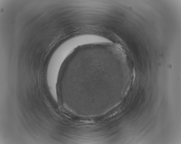 X0000083580552200702231658