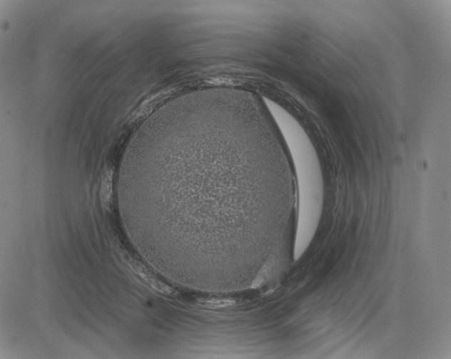 X0000083580554200702231658