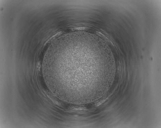 X0000083580555200702231658