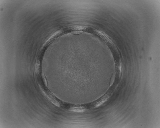 X0000083580556200702231658