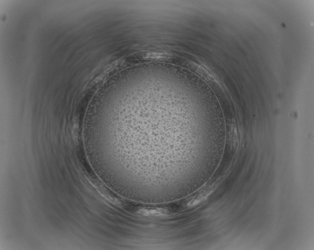 X0000083580557200702231658