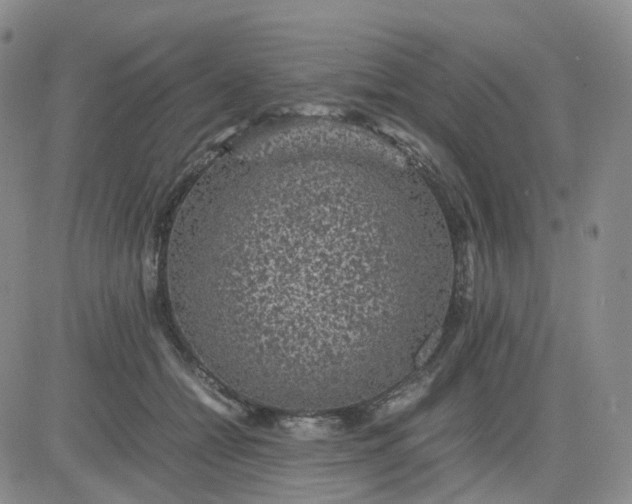 X0000083580558200702231658