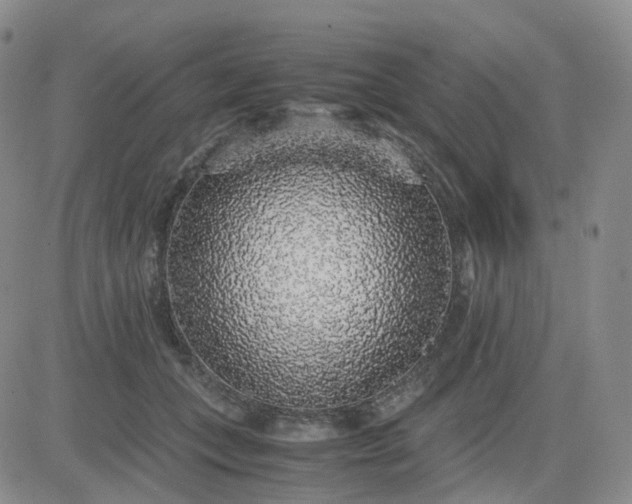 X0000083580559200702231658