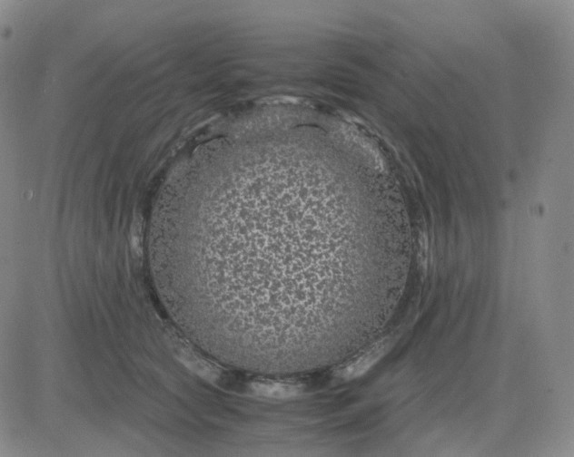 X0000083580561200702231658