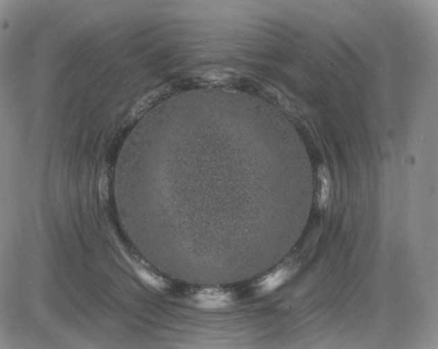 X0000083580562200702231658