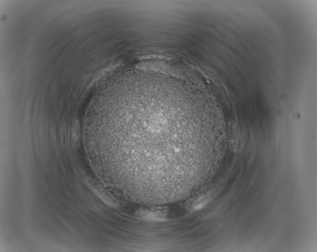 X0000083580563200702231658