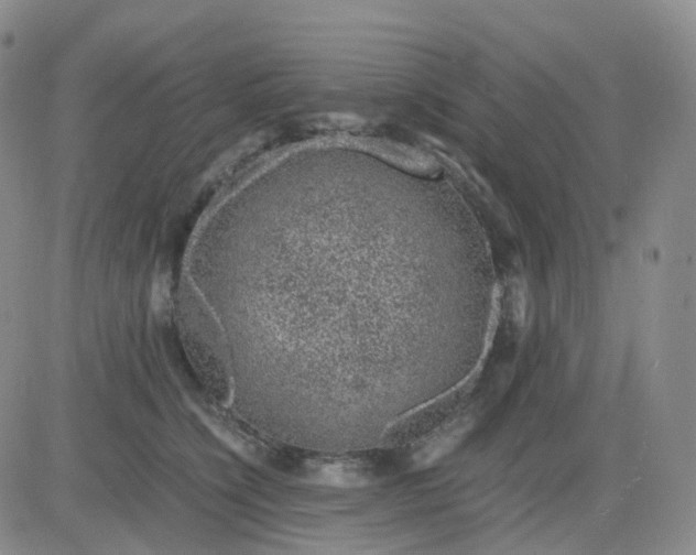 X0000083580564200702231658