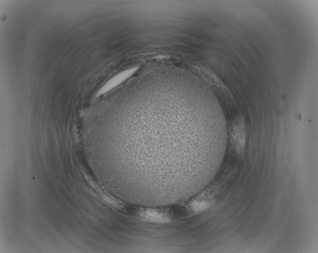 X0000083580565200702231658