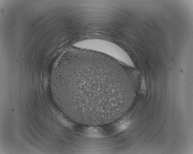 X0000083580566200702231658