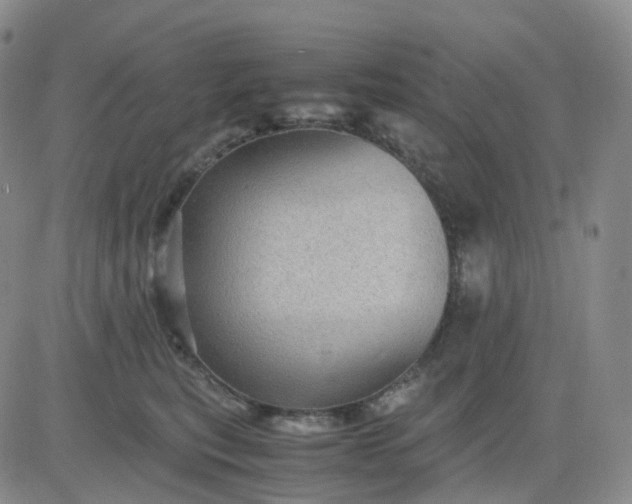 X0000083580567200702231658