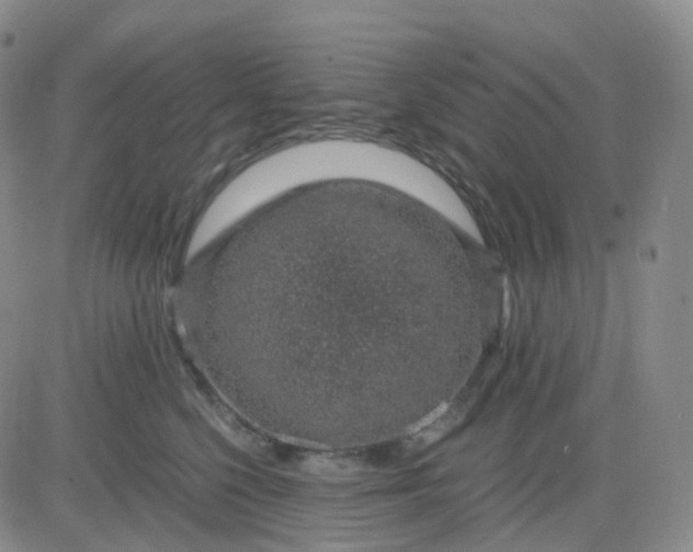 X0000083580568200702231658