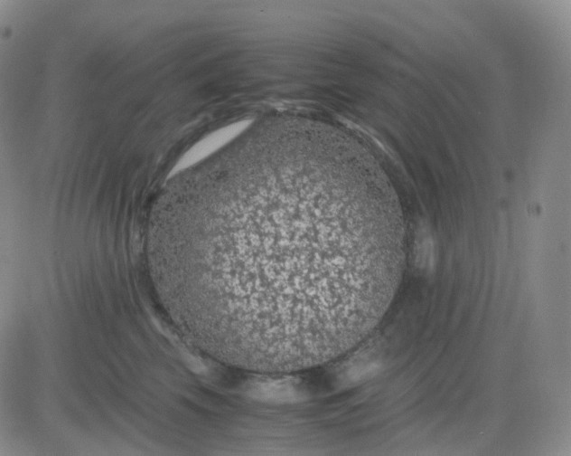 X0000083580569200702231658