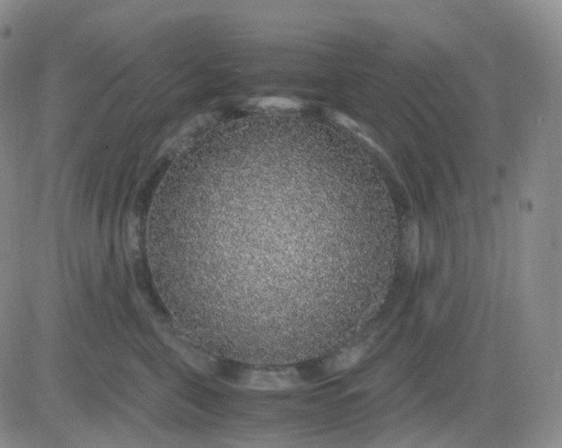 X0000083580571200702231658