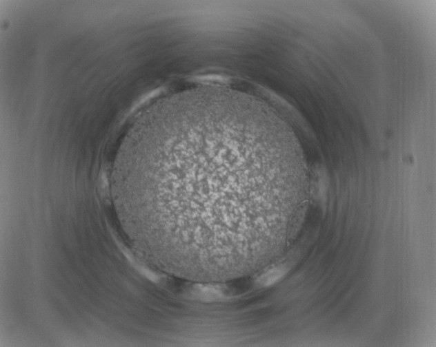 X0000083580573200702231658