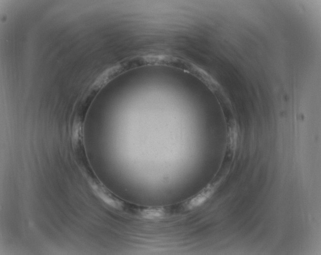 X0000083580574200702231658