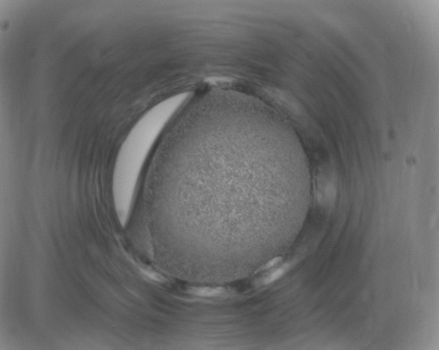 X0000083580575200702231658