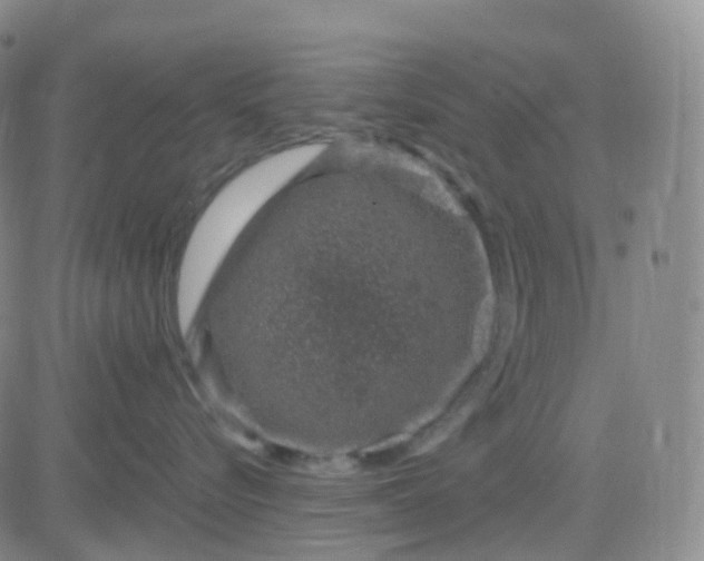 X0000083580576200702231658