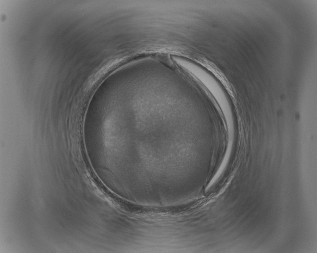 X0000083580577200702231657