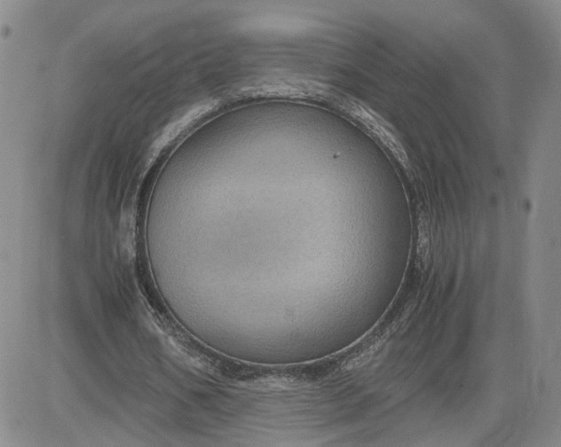 X0000083580578200702231657