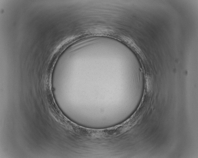 X0000083580579200702231657