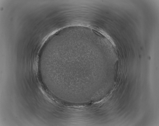 X0000083580580200702231657