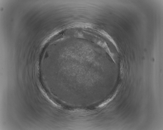 X0000083580581200702231657