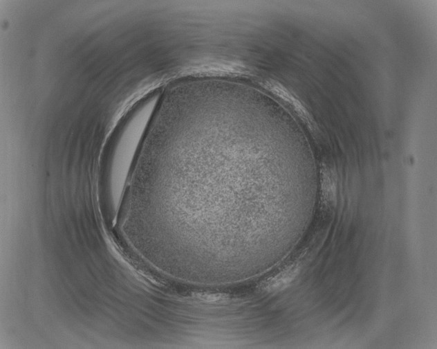 X0000083580582200702231657