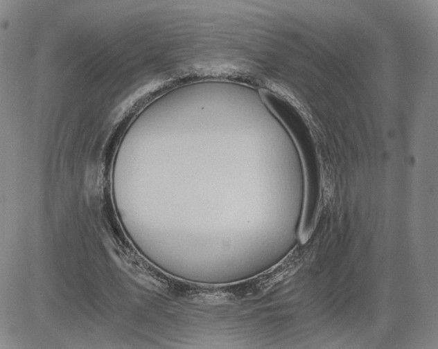 X0000083580583200702231657