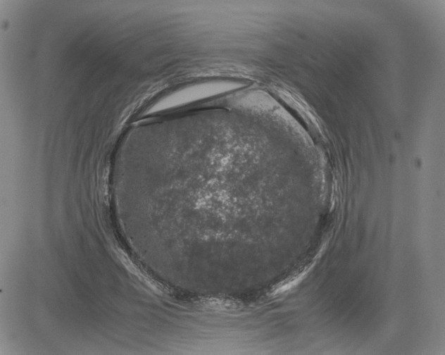 X0000083580585200702231657