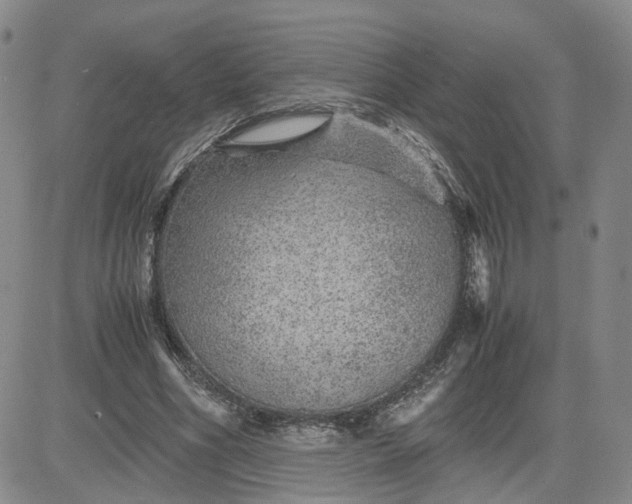 X0000083580586200702231657