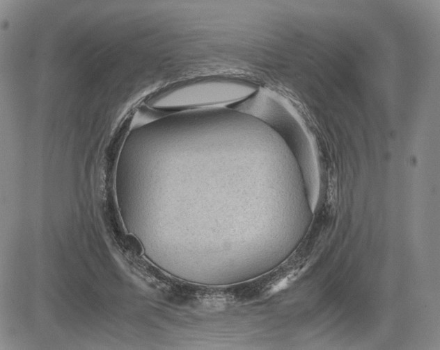 X0000083580587200702231657