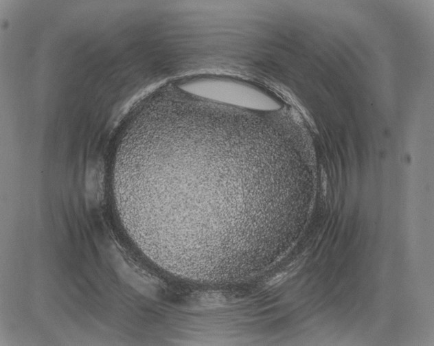 X0000083580588200702231657