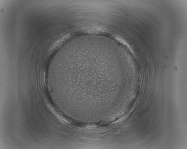 X0000083580589200702231657