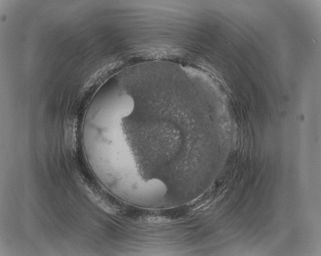 X0000083580590200702231657