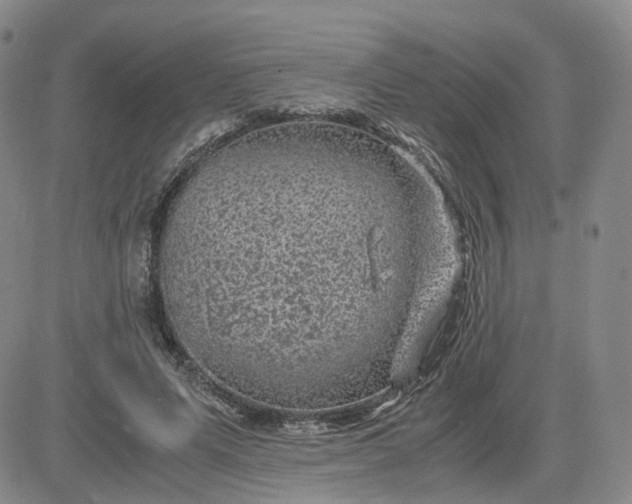 X0000083580591200702231657