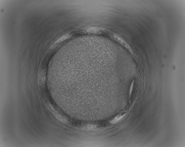 X0000083580593200702231657