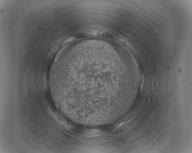 X0000083580594200702231657