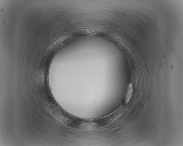 X0000083580595200702231657