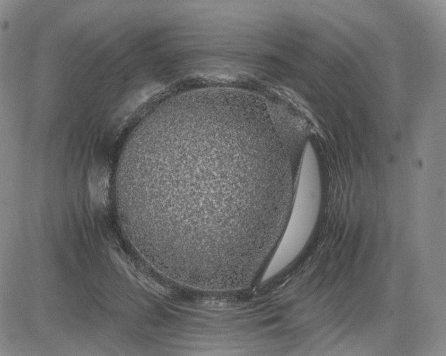 X0000083580596200702231657