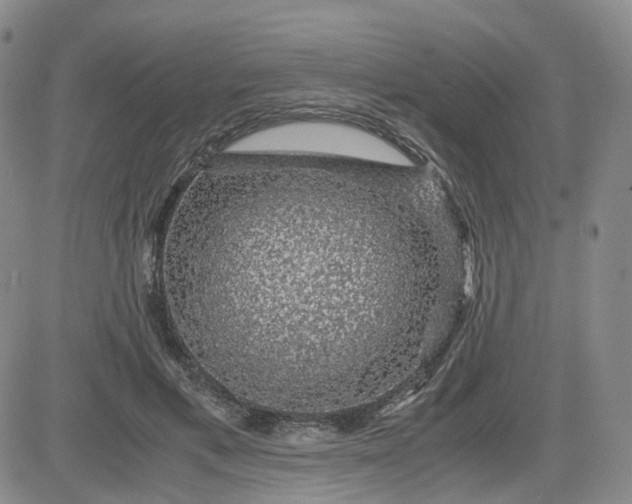 X0000083580597200702231657