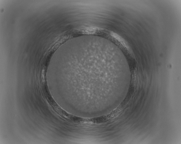 X0000083580598200702231657