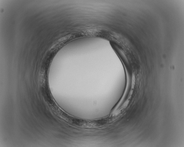 X0000083580599200702231657