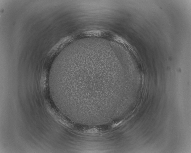 X0000083580600200702231657