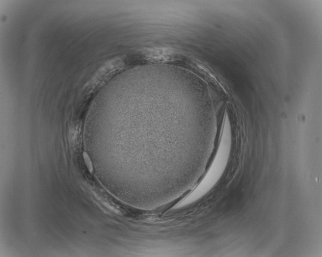 X0000083580601200702231657