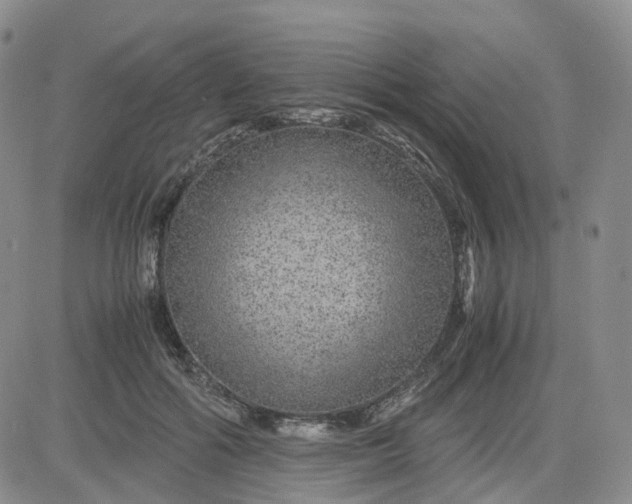 X0000083580602200702231657