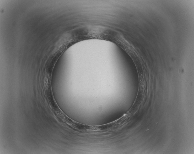 X0000083580603200702231657