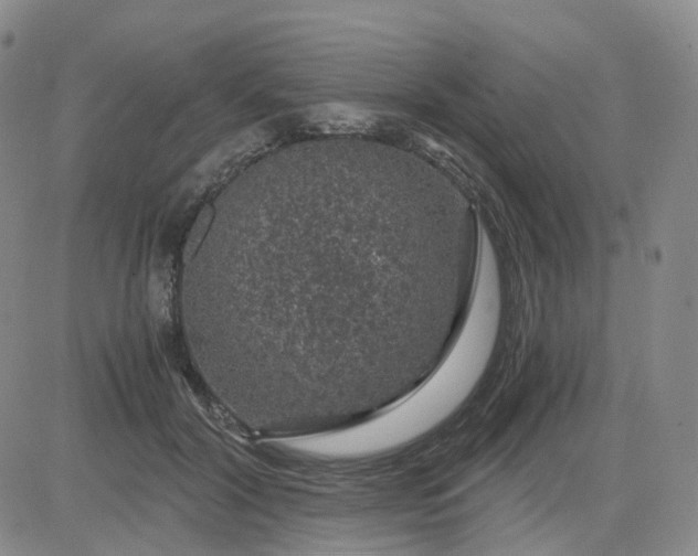 X0000083580604200702231657