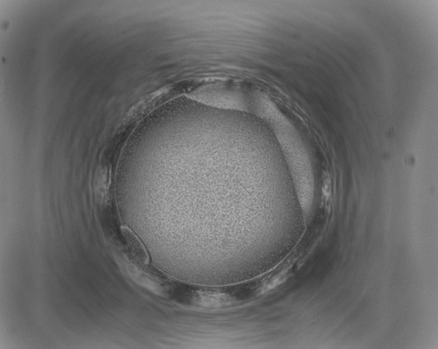 X0000083580605200702231657