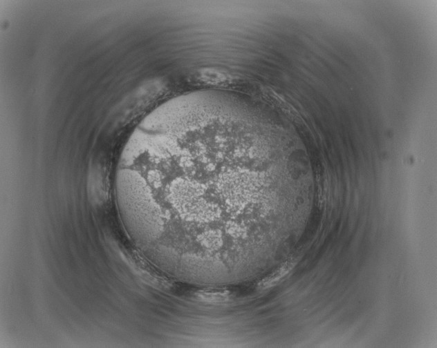 X0000083580606200702231657