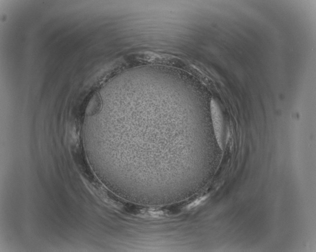 X0000083580607200702231657